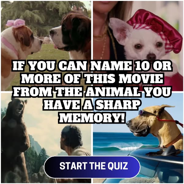 Start The Quiz Now>>>