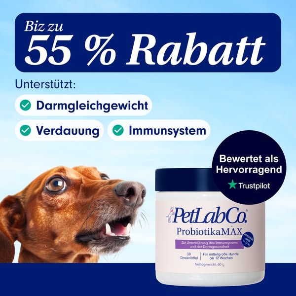 55% auf Probiotika! ⏳ Jetzt Angebot sichern!